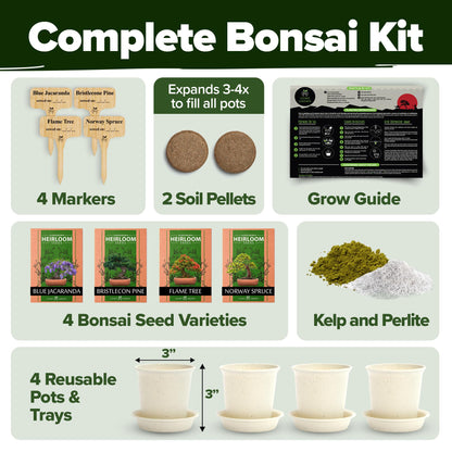 Bonsai Tree Kit Gifts for Men & Women - Grow 4 Bonsai Trees - Unique Gardening Crafts for Adults, DIY Hobbies for Plant Lovers & Gardeners - Unusual Christmas Gift Ideas for Mom & Dad
