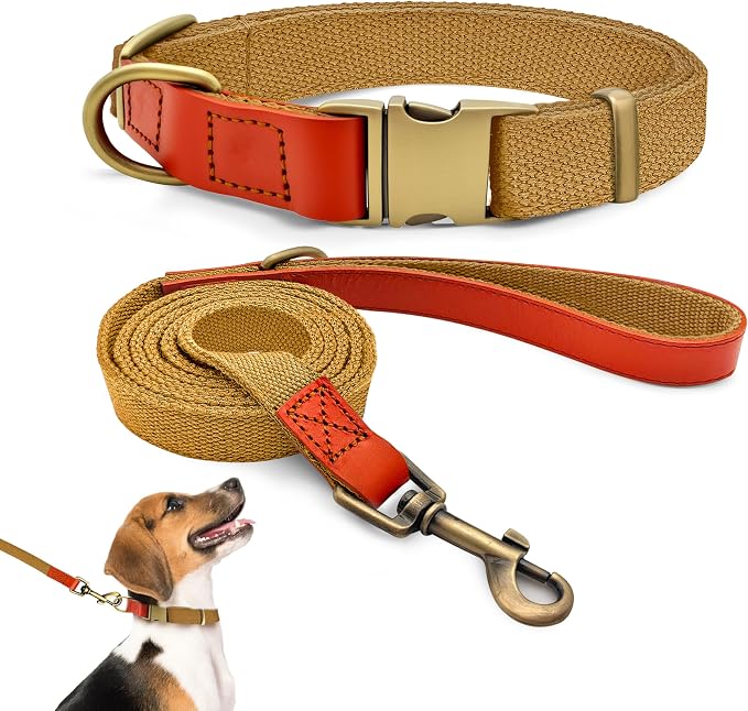 Dog Collar and Leash Set with Metal Quick Release Buckle, Adjustable, Breathable Nylon, Durable, Soft and Comfortable, No Pull for Walking and Training, Khaki, M (12.6"-19.6")