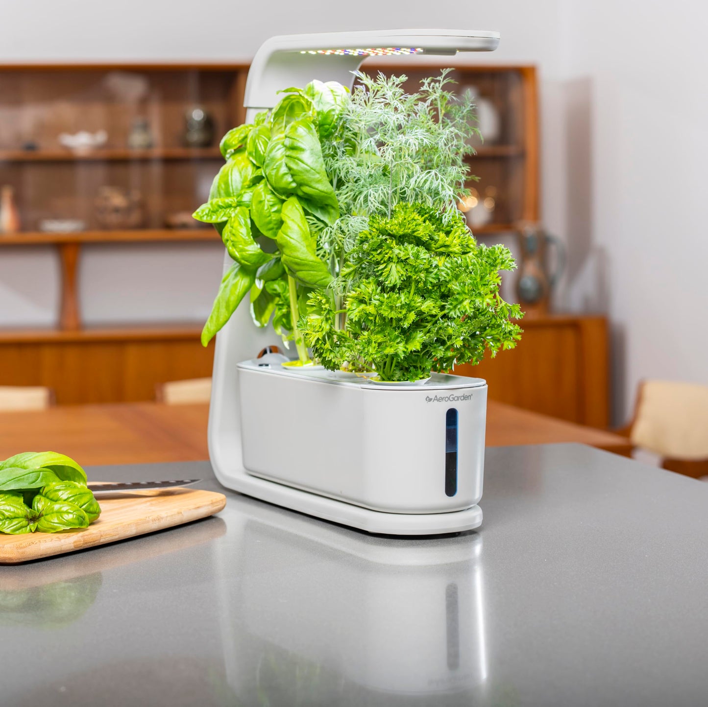 AeroGarden Sprout with Gourmet Herb Seed Pod Kit - Indoor Garden with LED Grow Light, Cool Gray