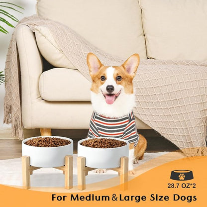 SPUNKYJUNKY Ceramic Elevated Dog Bowls 2 Pack - 6.1inch Raised Dog Bowls with Non-Slip Wooden Stand for Medium Dogs Dishwasher Safe(White,28.7OZ*2)