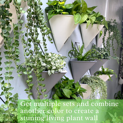 LaLaGreen Bundle - 12" x 4 Pack Black + 12" x 2 Pack Gray Large Self Watering Geometric Hanging Flower Vase Vessel with Metal Hanger, Modern Stylish Wall Mounted Succulent Pot Holder Decor
