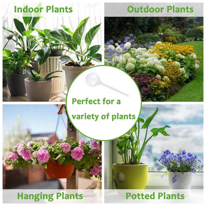 Plant Watering Globes, Self Watering Bulbs for Indoor & Outdoor Plants, Plastic Self-Watering Balls Automatic Water Irrigation Device (Clear, Large 12 Pack)