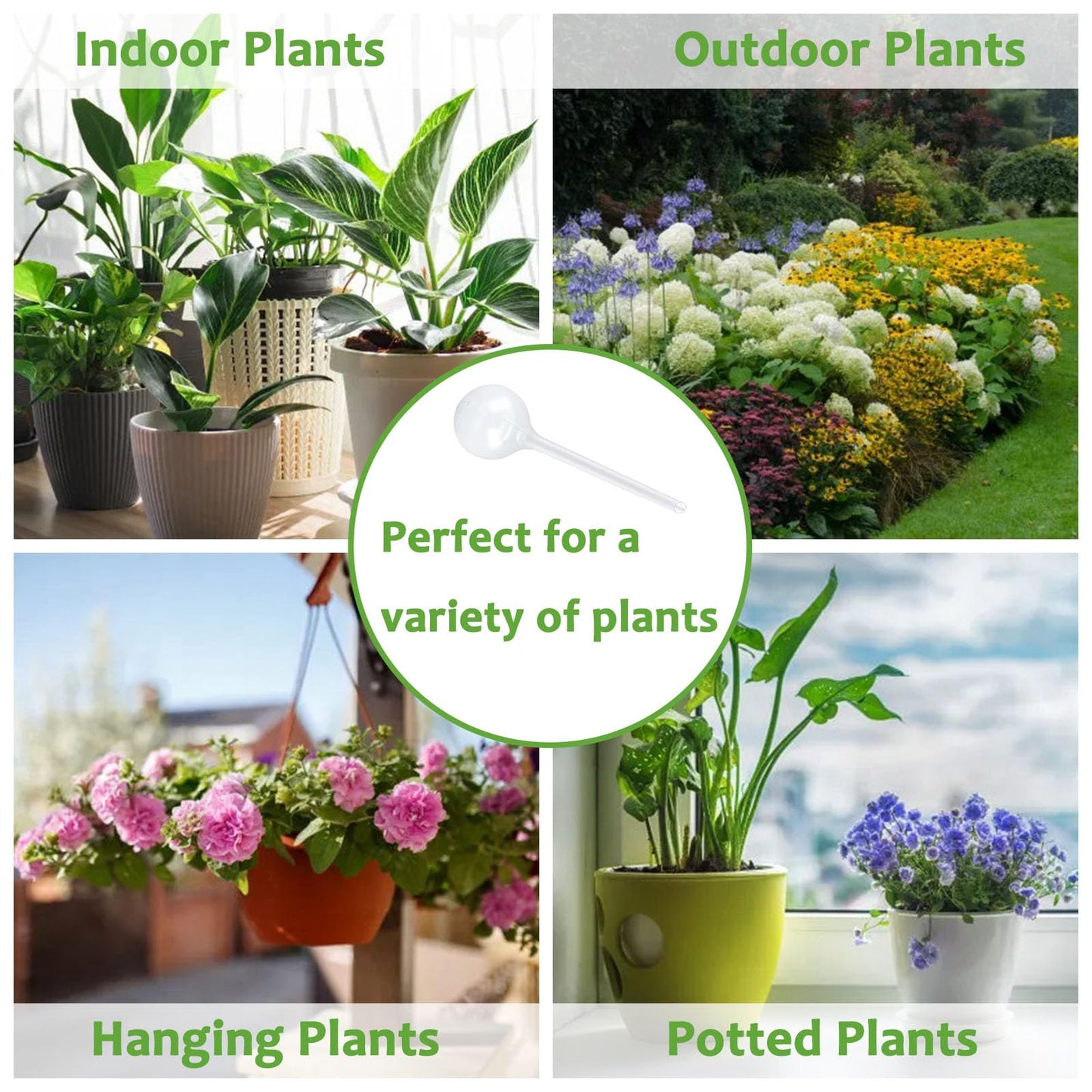 Plant Watering Globes Set of 10, Self Watering Bulbs for Indoor & Outdoor Plants, Plastic Automatic Water System (Clear, 10 Pack Large)