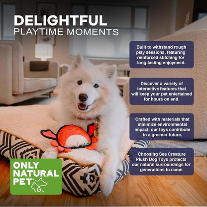 Only Natural Pet Sea Creatures Recycled Plush Dog Toys - Durable Double-Stitched Design with Internal Squeaker, Crinkle Pincers & Plush Feet - Stuffed Toy for Dogs, Pet Toy | Clara The Crab, 11" x 6"