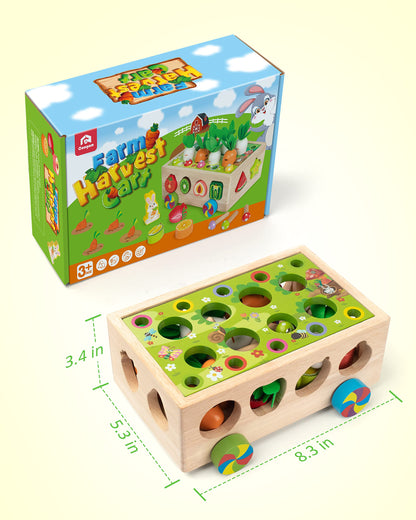 Coogam Montessori Fine Motor Toys for Baby Toddler, Wooden Shape Sorter Carrot Harvest Game for Easter Basket Stuffer, Preschool Learning Educational Gift Toy for 3 4 5 Year Old