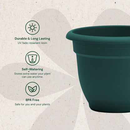 Bloem Ariana 12" Self-Watering Plastic Planter - Rolled Rim Indoor/Outdoor Garden Pot, Charleston Green, 2-Pack