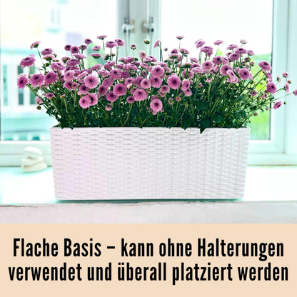 LaLaGreen Window Boxes Planters (20 Inch, 2 Pack) Outdoor Wall Hanging Flower Box with Bracket, Vertical Wall Mounted Self Watering White Rectangular Plant Container Modern Garden Herb Kitchen Indoor