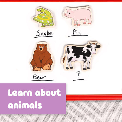 Spark & Wow Wooden Magnets | Animals | Magnets for Kids Ages 2+ | Open-Ended Play | Adhere to Fridges, Whiteboards and More