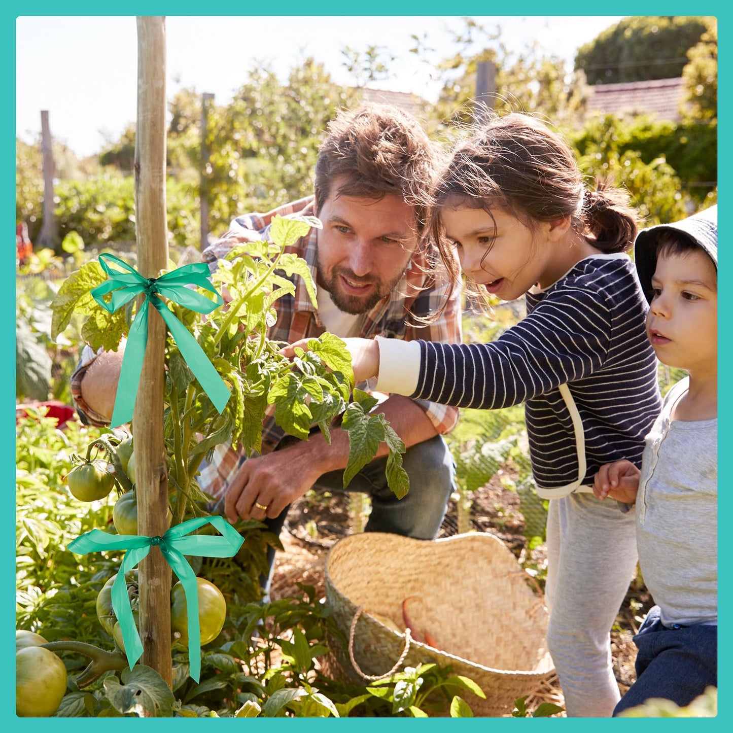 Prudiut 1200FT Stretch Tie Tape Roll, 1'' Plant Tape Green Stretch Garden Tie, Thick Sturdy Tree Nursery Tapes Vinyl Stake Ribbon Support for Indoor Outdoor Patio Plant, Tree, Vegetables, Branches