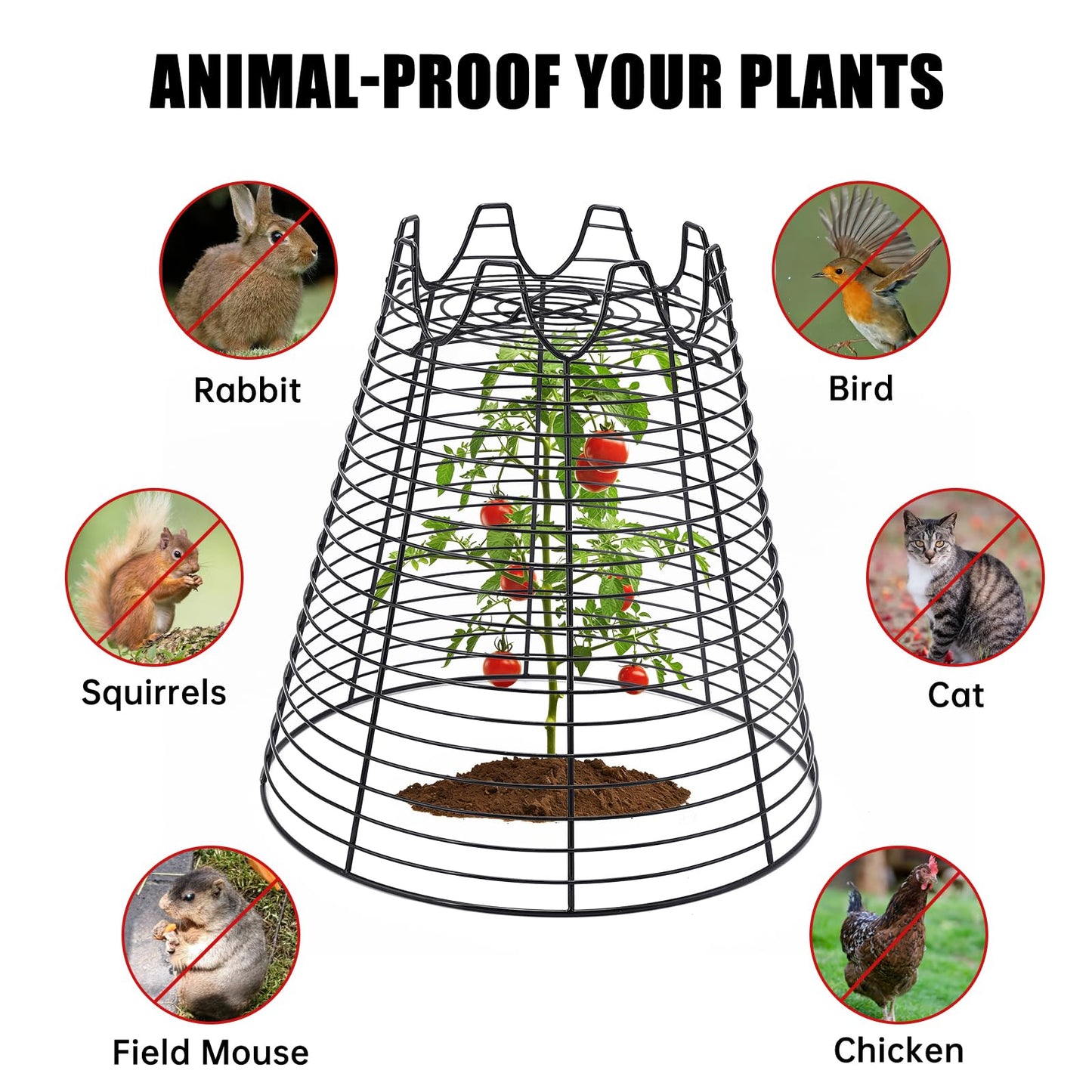 Qaobo 4 Pcs 11.6"×11.6" Plant Protectors from Animals, Sturdy Metal Plant Cages for Outdoor Plants, Reusable Wire Garden Cloches, Plant Protector to Keep Squirrels, Rabbits, Birds, Black
