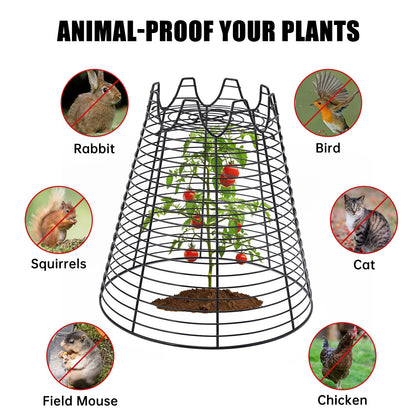 Qaobo 4 Pcs 11.6"×11.6" Plant Protectors from Animals, Sturdy Metal Plant Cages for Outdoor Plants, Reusable Wire Garden Cloches, Plant Protector to Keep Squirrels, Rabbits, Birds, Black
