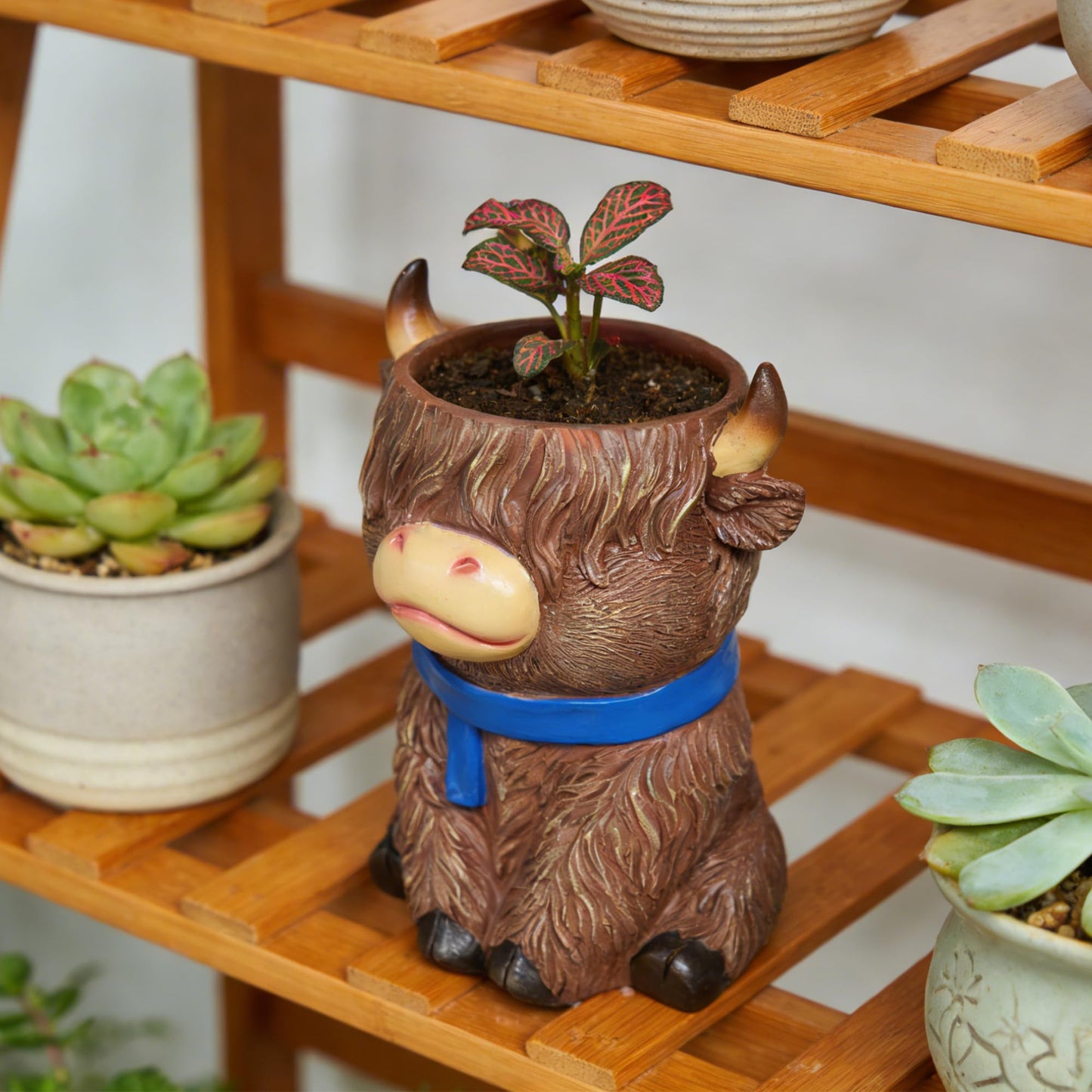 ASDFG Cute Highland Cow Planter Pot - Resin Succulent Pot with Drainage, Aesthetic Scottish Cow Flower Pot for Boho Home Decor, Desk, Patio | Unique Cow Gifts for Women, Mom, Plant Lovers (Brown)
