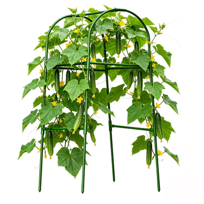 Cucumber Trellis for Plant Climbing- Cucumebr Arch Trelli for Flower Vine Vegetable Tomato Cage Raised Bed- Foldable Garden Tunnel Trellis (Green)