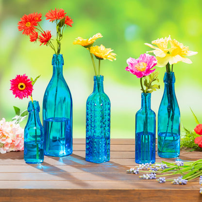 Evergreen Garden Glass Bottles for Bottle Tree, Wine Bottles for Decorativation Indoor Outdoor Wedding Christmas Party Decor (Blue, Set of 5)