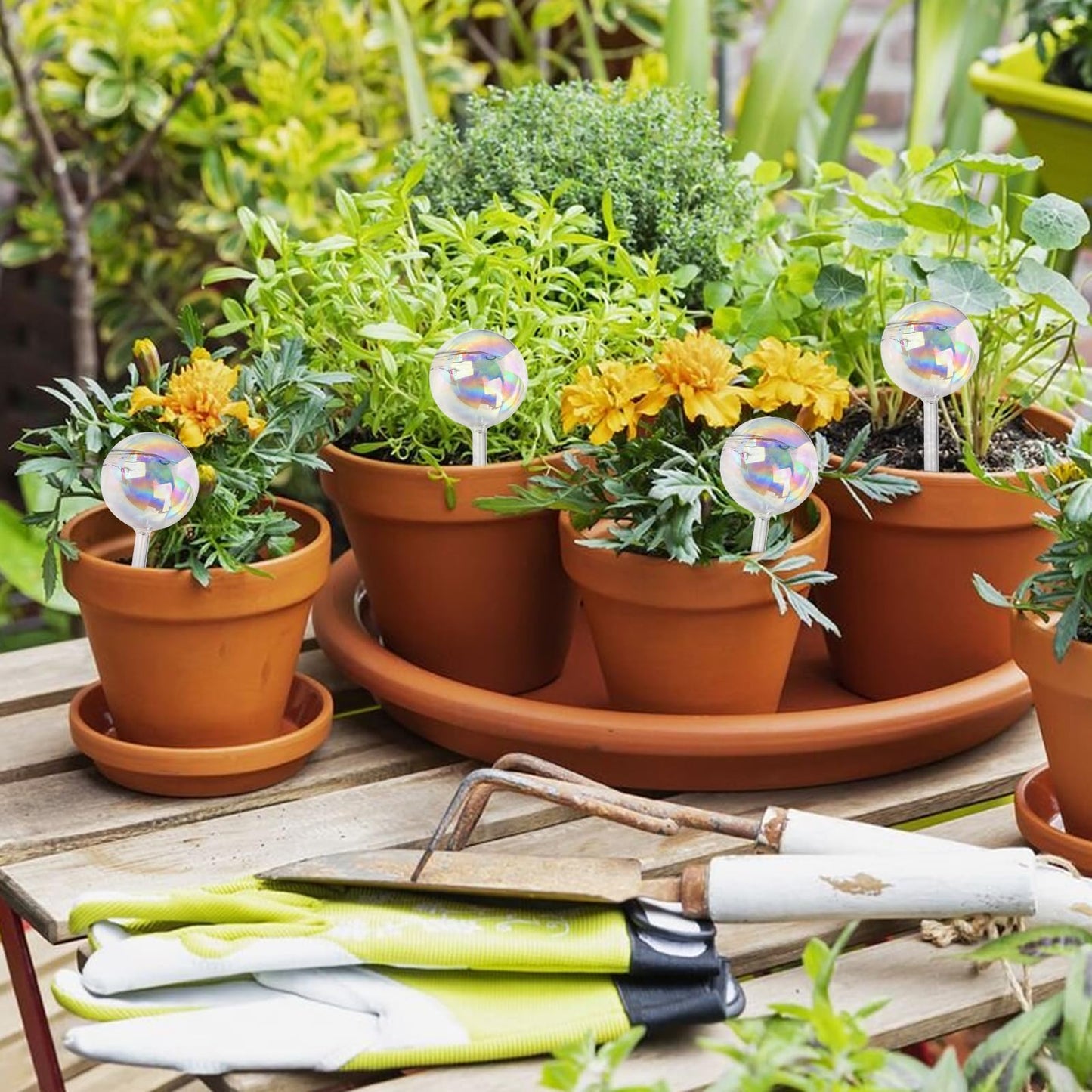 Farady Plant Watering Globes, Iridescent Rainbow Glass Water Bulbs Self Watering Spikes Planter Insert Automatic Plant Watering Device for Indoor and Outdoor Plants (4Pcs, Ball Shaped)