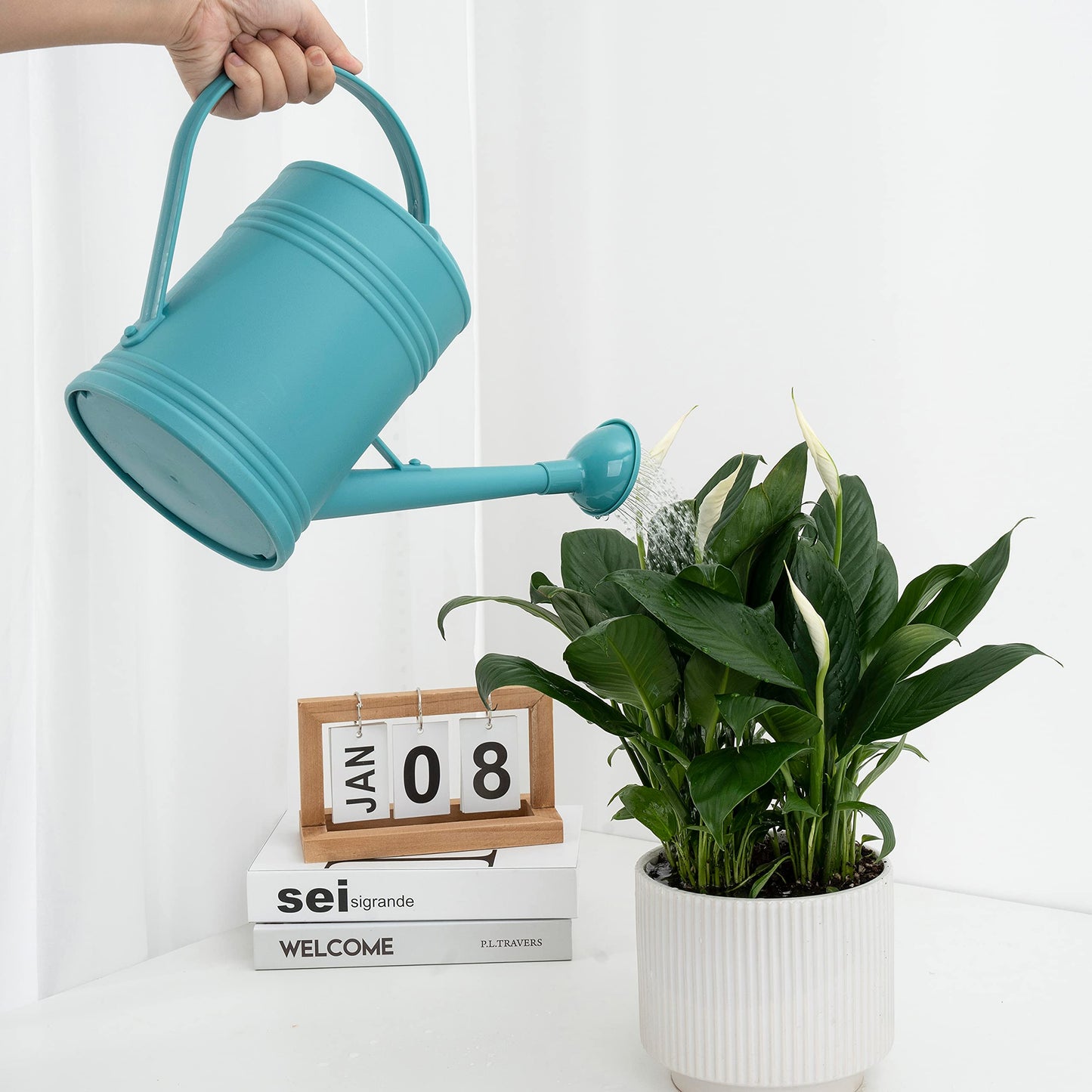 Watering Can for Indoor Plants, Flower Watering Can, Plastic Water Can for Plants, Indoor Watering Can with Sprinkler Head 68 oz, 1/2 Gallons