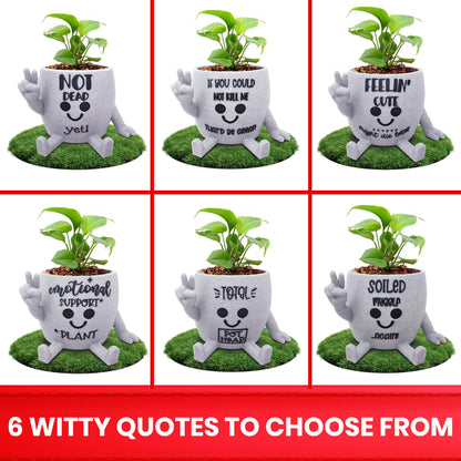 Funny Face Indoor Head Planter Pot, 3D Printed, Unique Small Succulent Flower Pot, Cute Cactus Planter, Indoor Home Decor, Office Desk Plant Pot, Novelty Gardening Gift Set