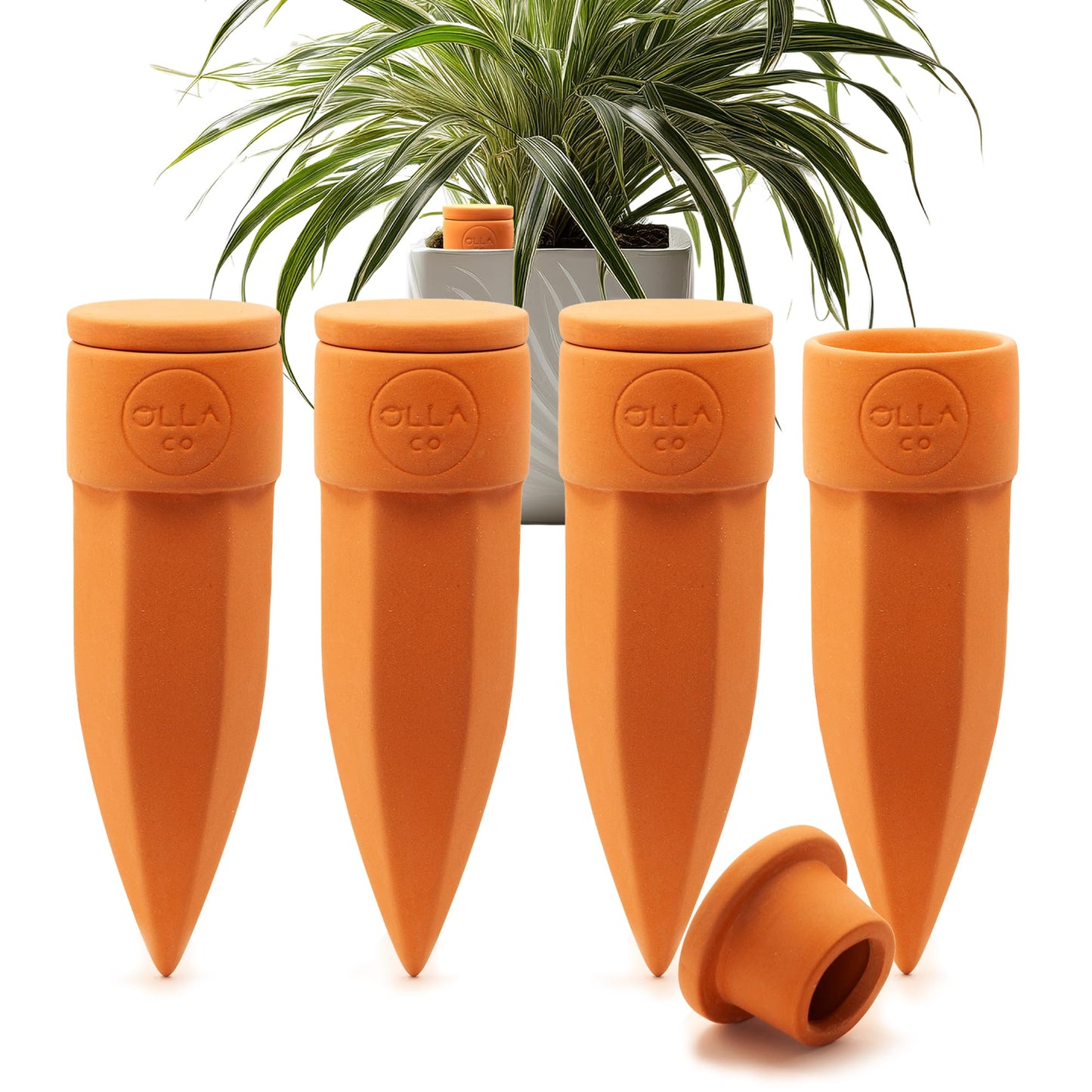 The Olla Company Plant Watering Spikes with Lids - Ideal for 5”-9” Pots - Vacation Friendly - Terracotta - Medium - Set of 4
