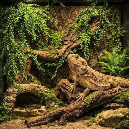 HERCOCCI 3 Pack Reptile Plants, Terrarium Hanging Plants Vines Artificial Leaves Habitat Decorations with Suction Cup for Bearded Dragon Hermit Crab Lizard Snake Geckos Chameleon