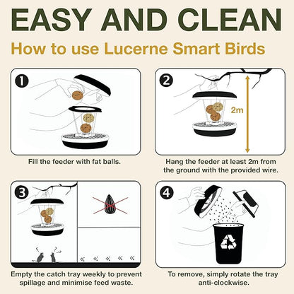 SWISSINNO Bird Feeders - No Mess Fat Ball/Suet Feeder for Outdoors Hanging - Smart Birds Lucerne Spill Proof Wild Cardinal Bird Feeder with Integrated Seed Catcher Tray - Light Grey
