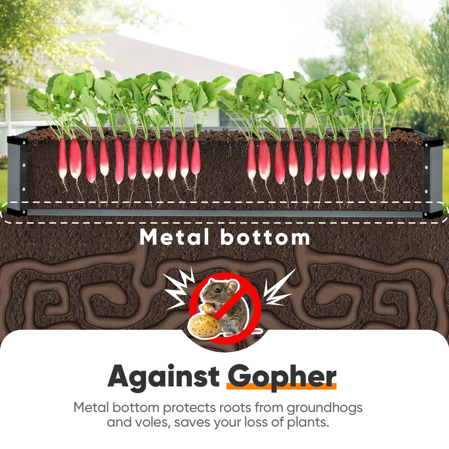 KING BIRD Raised Garden Bed Kit with Bottom 2025 Upgraded Galvanized Planter Garden Box Outdoor & Indoor for Gardening, Vegetables, Flowers, Dark Grey, 70.8x23.6x11.8 in