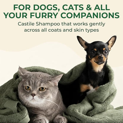 Dr. Jacobs Naturals Castile Pet Shampoo - Gentle Cat & Dog Wash w/Pure Castile Soap - Plant-Based Dog Shampoo w/Olive Oil, Coconut Oil, Shea Butter, Aloe Vera, Vitamin E - Green Tea & Mint