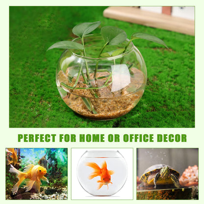 12 Pcs Glass Bubble Bowl Vase Bulk, Clear Round Glass Centerpiece Bowls for Valentine's Wedding Table Decor, Fish Flower Bud Vase Terrarium for Event Party DIY (3.5" h X 4.7" w)