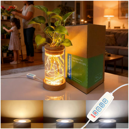 Plant Propagation Station with 9-Level Adjustable LED Light, Glass Planter Station with Waterproof Lighted Wooden Base, Desktop Hydroponic Plants Terrarium Vases Jars for Home & Office Decor