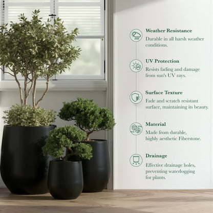 DTY Premium Mt Wilson Tall Tapered Fiberstone Planter for Indoor Outdoor Use, Modern Large Olive Tree Pot with Drainage Hole, Includes 2 Coco Mats. Black, Medium 15'' D x 16.7” H. 11.2” Pot Opening