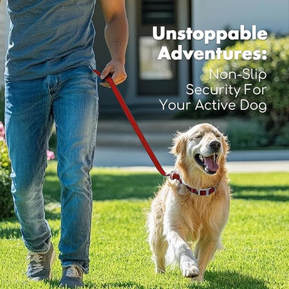 4.2FT Dog Collar and Leash Set, PVC Waterproof Adjustable Odor Proof Pet Collars Leashes, Easy to Clean, Surface 3D Cube Effect, Dog Leash for Small Dogs, Dark Red