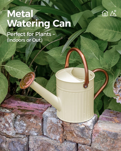 Bamworld Watering Can for Indoor Outdoor Plant Metal Watering Can with Removable Spout Embossd Design Plant Watering Devices Stainless Steel 1/2 Gallon Watering Cans Perfect Home & Garden Décor Creamy