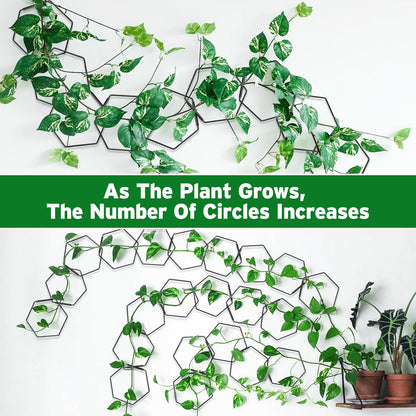Hysagtek Chain Trellis for Climbing Plants Indoor & Outdoor, 18 Pcs Plant Trellis with Connect-Hooks, No-Trace Nails & Wire Ties, DIY House Plant Accessories for Monstera, Pothos, Ivy, Wisteria