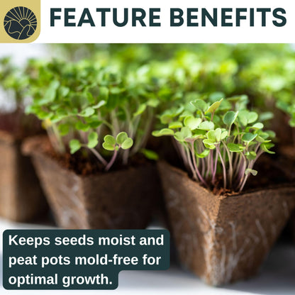 SunVara Peat Pots for Seedlings 300 Pcs, Biodegradable Seed Starter Pots with Drainage Holes, Nursery Germination Pots for Vegetables, Herbs, Flowers – Indoor Outdoor Garden