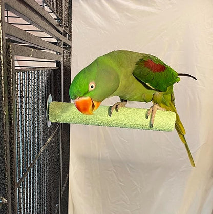 Polly's Pastels Nail Trimming & Beak Conditioning Safety Perch for Cockatiels, Cockatoos, Macaws, Parakeets, Budgies, Parrots and All Other Birds (Green, Medium-1 1/4" Dia. x 8" Long)