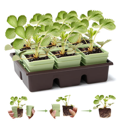 GREENBAZZAR Side-Open Seed Starter Tray 4-Pack, 24 Cells Modular Design with Detachable Plant Cells, Extra-Large 2.36"x2.28" Cells, Reusable Seed Germination Kit for Indoor & Outdoor Gardening