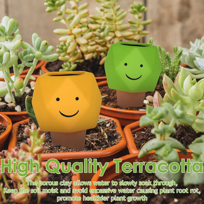 4 Pack Terracotta Self Watering Spikes, Automatic Plant Waterer Devices Continuous Moisture with Slow Release Plant Watering Globes Watering System Small Hexagonal