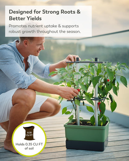 BUZZY Seeds Charly Chili Self-Watering Planter with Vertical Trellis – 1.2 Gal Reservoir, Large Capacity Planter for Chili Peppers, Bell Peppers & Eggplants (Green)