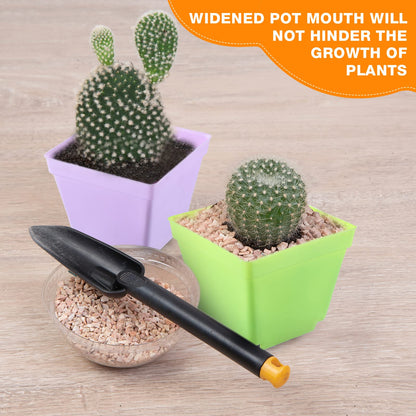 Amyhill 100 Pcs 4 Inch Flower Pots Square Plants Nursery Pot Plastic Plant Seedling Pots Small Nursery Transplanting Planter Container with Saucer for Indoor Succulent Balcony Garden (Classic Color)