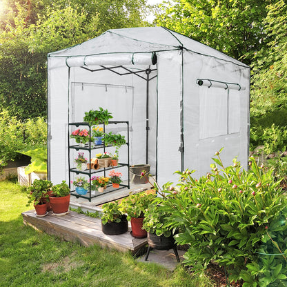 EAGLE PEAK 8x6 Portable Walk in Greenhouse, Pop Up Indoor Outdoor Greenhouse, Green House Kit with Zippered Roll-Up Doors and Windows, PE Cover, Clear/White