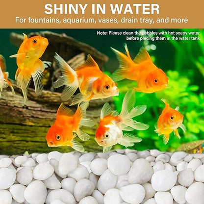 NUPICK 6lb White River Rocks for Plants Indoor, 1-2Inch Pebbles for Vases Fillers, Decorative Gravel for Fish Tank, Natural Polished Stones for Succulent, Bonsai, Landscaping, Bird Baths