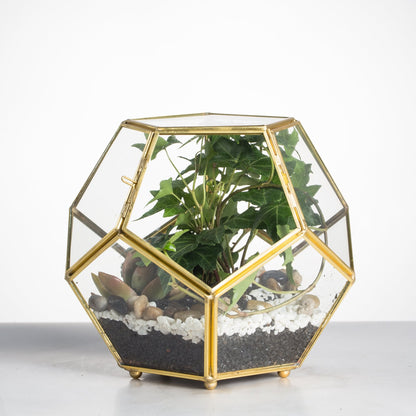 NCYP Glass Geometric Terrarium Planter with Door and Foot, Pentagon Ball Shape Glass Terrarium for Fern, Succulents, Small Plants, Gold, 6.8 x 6.8 x 5.9 inches (No Plants)