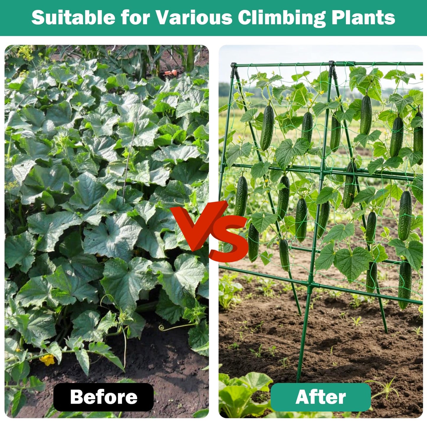 Prashent 3 Packs Cucumber Trellis for Raised Bed, 50" x 33" A-Shape Garden Trellis for Climbing Plants, Outdoor Metal Arch Vegetable Plant Support for Tomato, Cucumber, Pea, Zucchini & Vine Plants