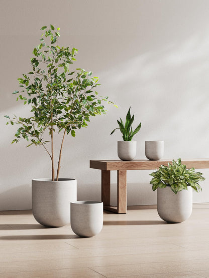 LE TAUCI 8 Inch Plant Pot, Ceramic Pot with Drainage Hole & Rubber Plug, Indoor Planter for Herbs & Small Houseplants, Cylinder Planter for Home Office, Neutral Gray