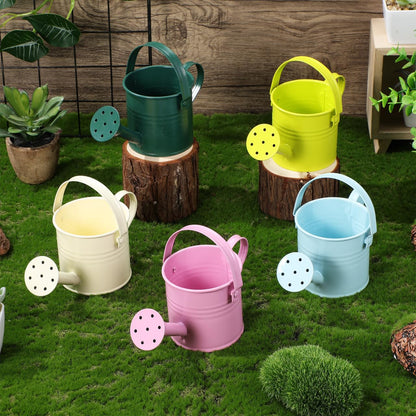 TOYANDONA 5pcs Mini Watering Cans - Small Watering Cans Garden Metal Iron Water Pot for Plants Flowers Bonsai Indoor Outdoor Garden (Random Color)