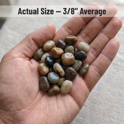 Midwest Hearth Decorative Mixed Pebbles for Plants & Terrariums | Polished Natural Stones | 3/8" Size (5-lb Bag)