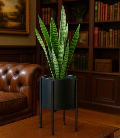 D'vine Dev 8 Inch Black Planter Pot with Stand – Modern Plastic Cylinder Flower Pot with Heavy-Duty Metal Stand for Indoor Plants, 55-D-B-1