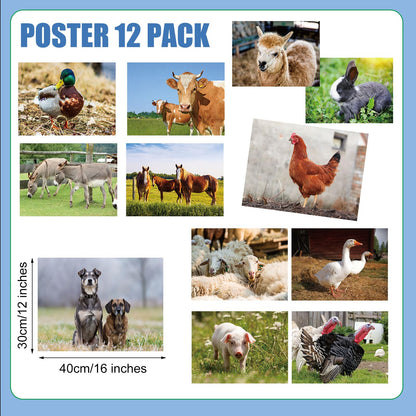 Motiskyy 12 Pcs Diversity Posters for Classroom Preschool Educational Learning Real Pictures for Daycare Home Multicultural Awareness(Farm Style)