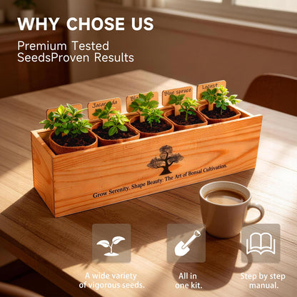 5X Bonsai Starter Kit, Bonzai Seed Kits, Durable Planting Bags, Complete Indoor Starter Kit for Growing Bonsai Plants, Gardening Gifts for Women & Men