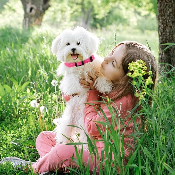 Rose Pink Dog Collar and Leash Set for Small Dogs, Breathable, Anti-Odor & Soft, Comfortable for Sensitive Skin Puppies, 90% Bamboo Rayon, Adjustable Quick-Release Buckle Pet Collar for Chihuahuas