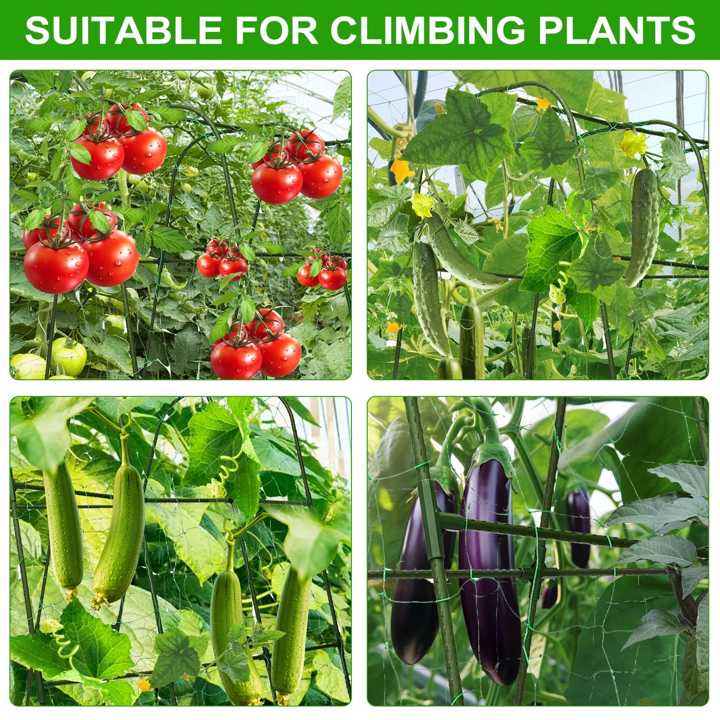 TIUIRE Metal Cucumber Trellis for Raised Beds & Gardens - 47.2" Lx30 W x47.2 H Sturdy Arch Trellis for Climbing Plants, Tomatoes, Peas & & Beans | Outdoor Vegetable Support for Vines